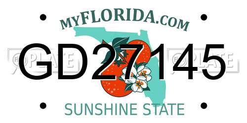 GD27145 Florida License Plate