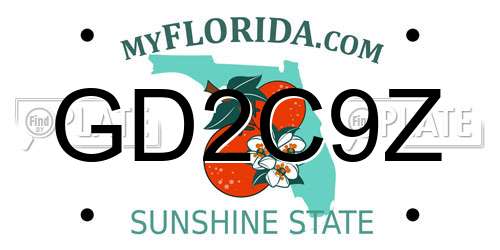 GD2C9Z Florida License Plate