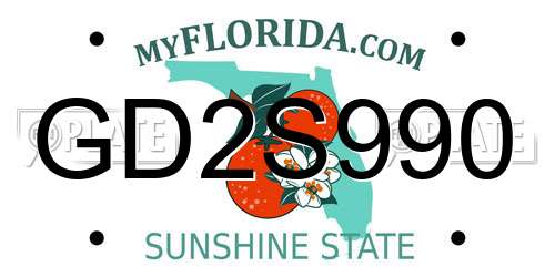 GD2S990 Florida License Plate
