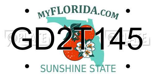 GD2T145 Florida License Plate