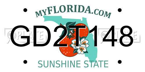 GD2T148 Florida License Plate