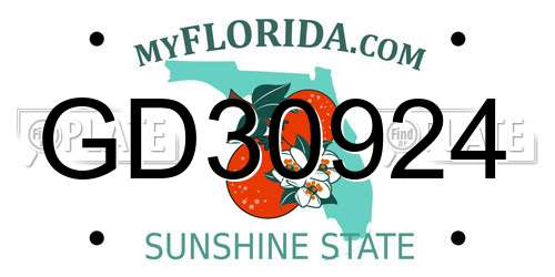GD30924 Florida License Plate