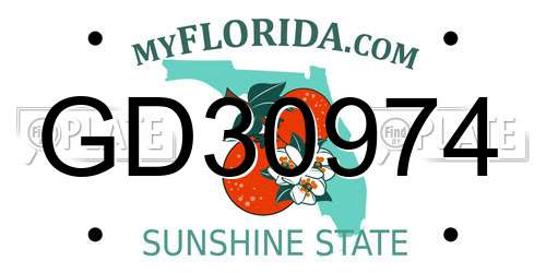 GD30974 Florida License Plate