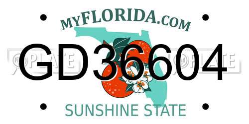 GD36604 Florida License Plate