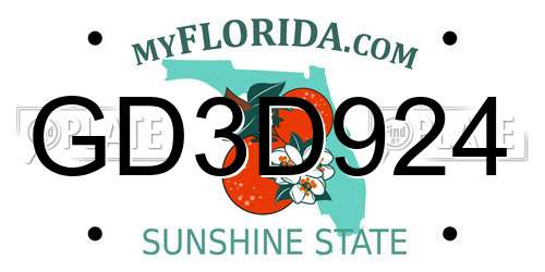 GD3D924 Florida License Plate