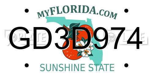 GD3D974 Florida License Plate
