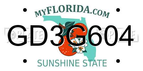 GD3G604 Florida License Plate
