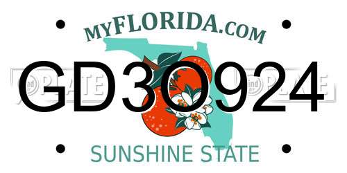 GD3O924 Florida License Plate