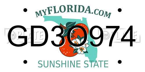GD3O974 Florida License Plate