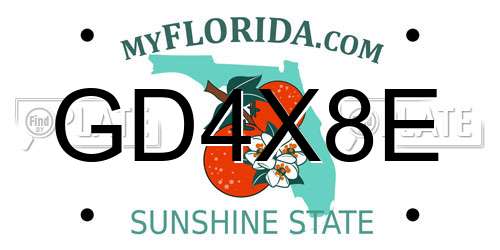 GD4X8E Florida License Plate