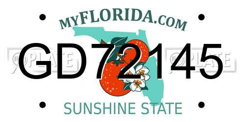 GD72145 Florida License Plate