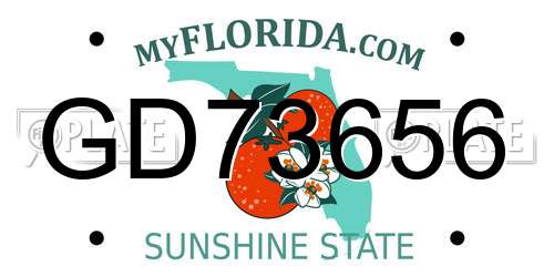 GD73656 Florida License Plate