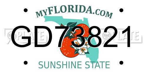 GD73821 Florida License Plate