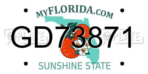 GD73871 Florida License Plate