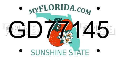 GD77145 Florida License Plate