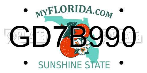 GD7B990 Florida License Plate