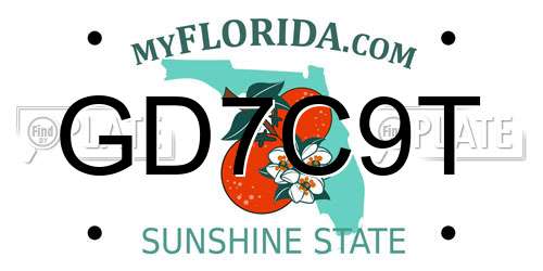 GD7C9T Florida License Plate