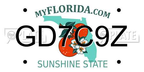 GD7C9Z Florida License Plate