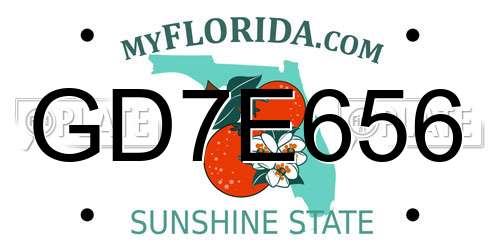 GD7E656 Florida License Plate