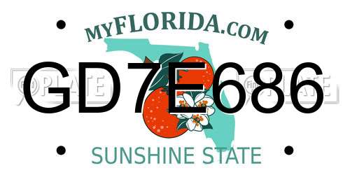 GD7E686 Florida License Plate