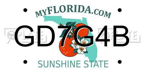 GD7G4B Florida License Plate