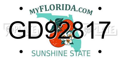 GD92817 Florida License Plate