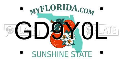 GD9Y0L Florida License Plate