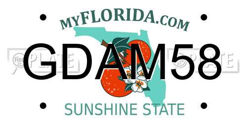 GDAM58 Florida License Plate