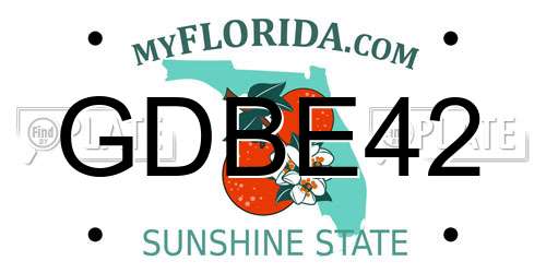 GDBE42 Florida License Plate
