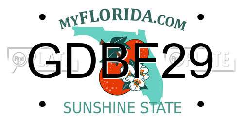 GDBF29 Florida License Plate