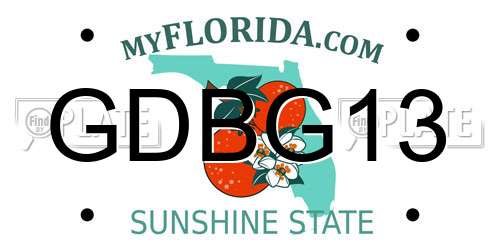 GDBG13 Florida License Plate
