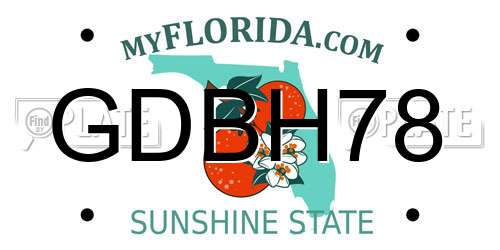 GDBH78 Florida License Plate
