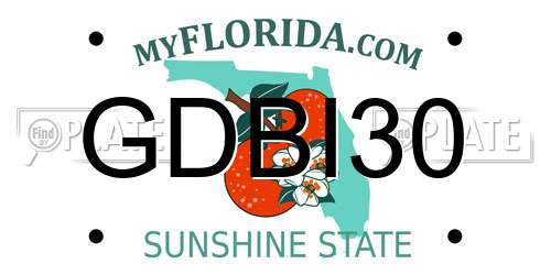 GDBI30 Florida License Plate