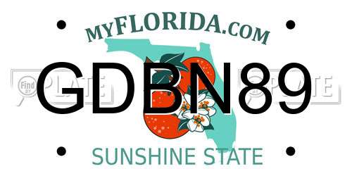 GDBN89 Florida License Plate