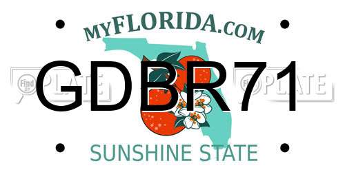 GDBR71 Florida License Plate