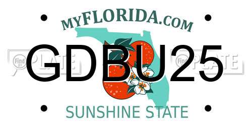 GDBU25 Florida License Plate