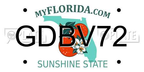 GDBV72 Florida License Plate