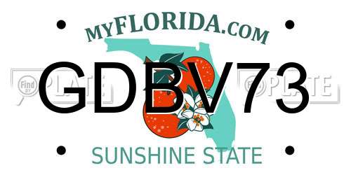 GDBV73 Florida License Plate