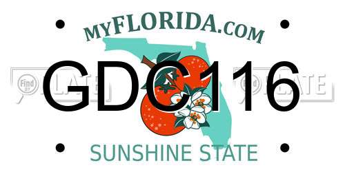 GDC116 Florida License Plate