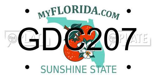 GDC207 Florida License Plate