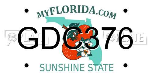 GDC376 Florida License Plate