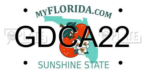 GDCA22 Florida License Plate
