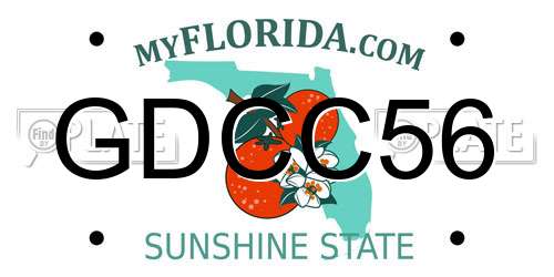 GDCC56 Florida License Plate