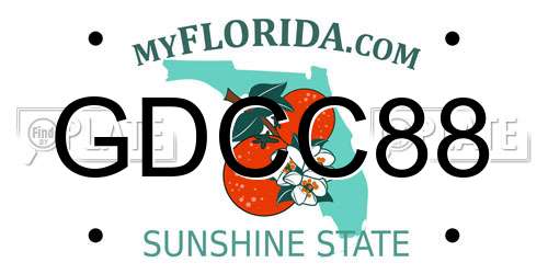 GDCC88 Florida License Plate