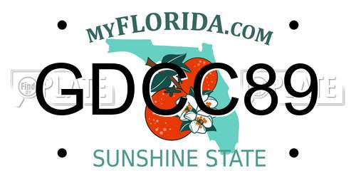 GDCC89 Florida License Plate