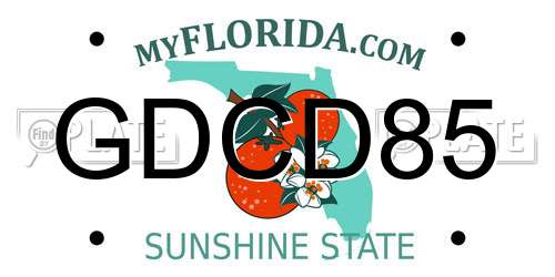 GDCD85 Florida License Plate