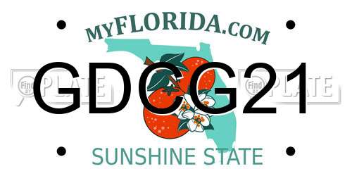 GDCG21 Florida License Plate