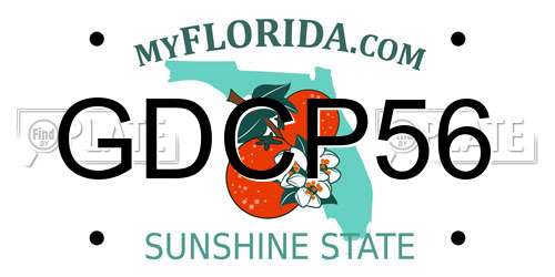 GDCP56 Florida License Plate