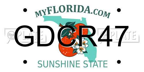 GDCR47 Florida License Plate