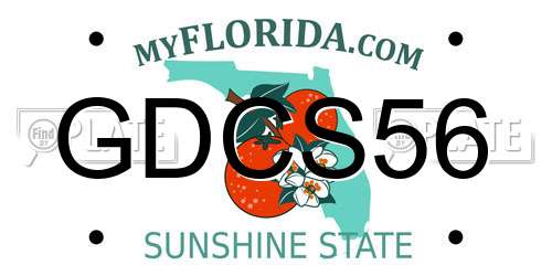 GDCS56 Florida License Plate